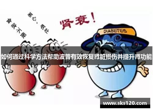 如何通过科学方法帮助波普有效恢复肾脏损伤并提升肾功能 如何通过科学方法帮助波普有效恢复肾脏损伤并提升肾功能