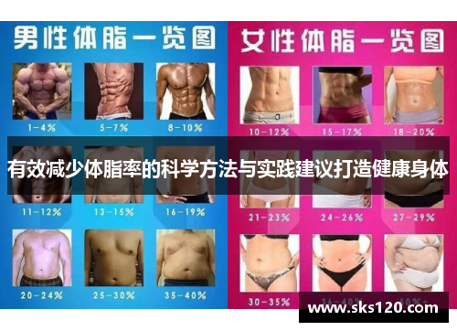 有效减少体脂率的科学方法与实践建议打造健康身体