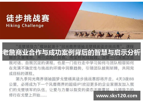 老詹商业合作与成功案例背后的智慧与启示分析