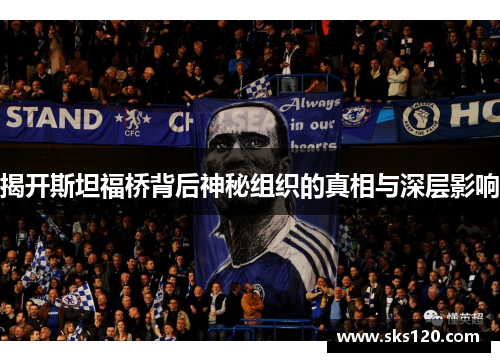 揭开斯坦福桥背后神秘组织的真相与深层影响